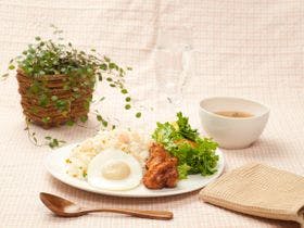 京都岡崎の町家　和“ＮＡＧＯＭＩ”