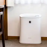 เครื่องฟอกอากาศ