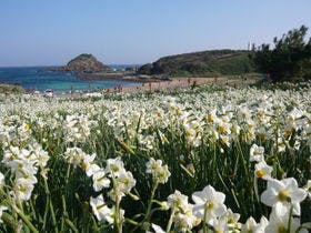 下田海浜ホテル