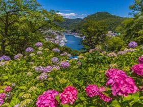 下田海浜ホテル