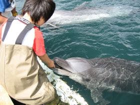 下田海浜ホテル