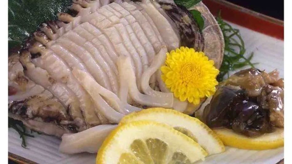 Futami Onsen, Somin no Yu, Hotel Seikai