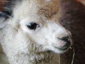 剣淵温泉レークサイド桜岡　