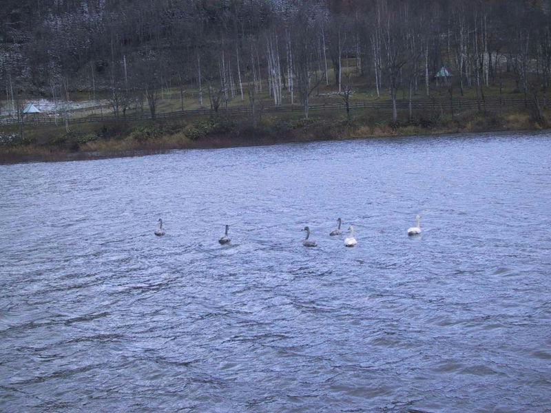 Lakeside Sakuraoka