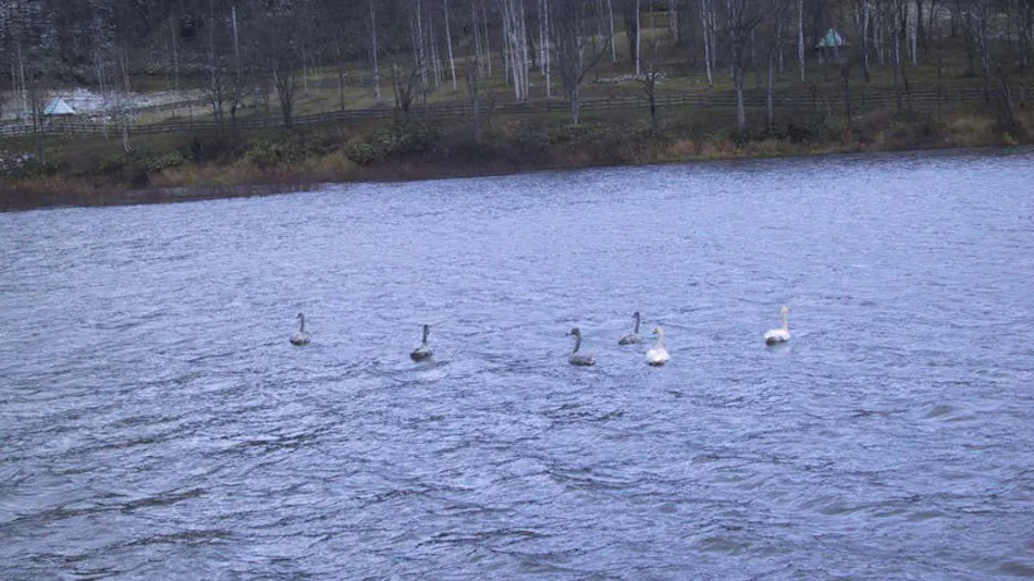 Lakeside Sakuraoka