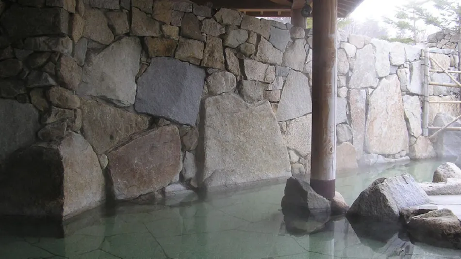 Chokai Sarukura Onsen Hotel Foresta Chokai