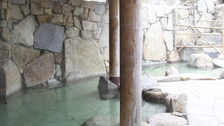 Chokai Sarukura Onsen Hotel Foresta Chokai