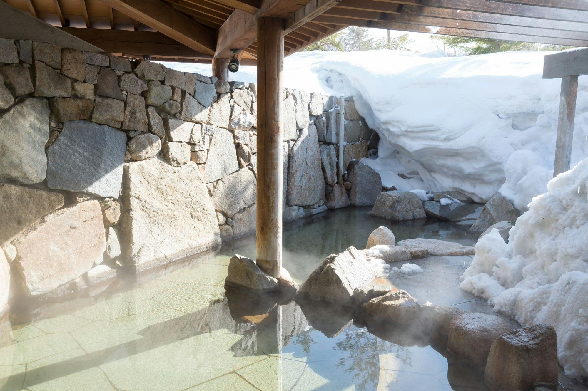 Chokai Sarukura Onsen Hotel Foresta Chokai