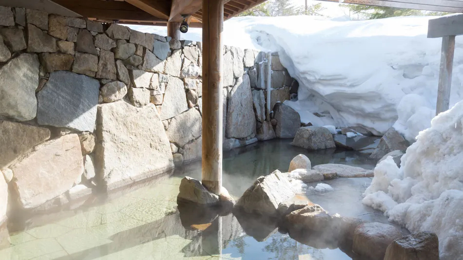 Chokai Sarukura Onsen Hotel Foresta Chokai