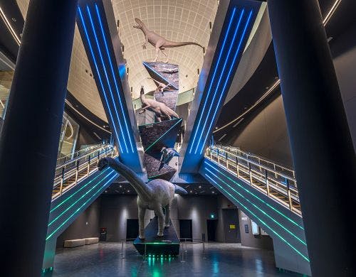 県立恐竜博物館まで車で21分！！