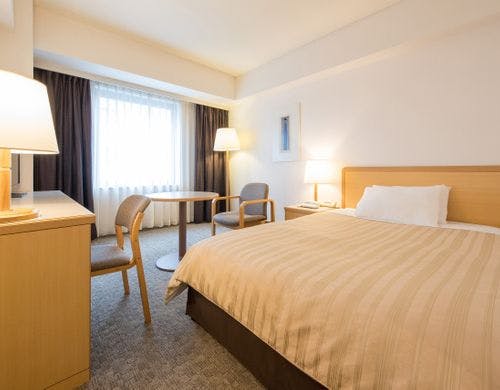 ２３平米ダブルベッド