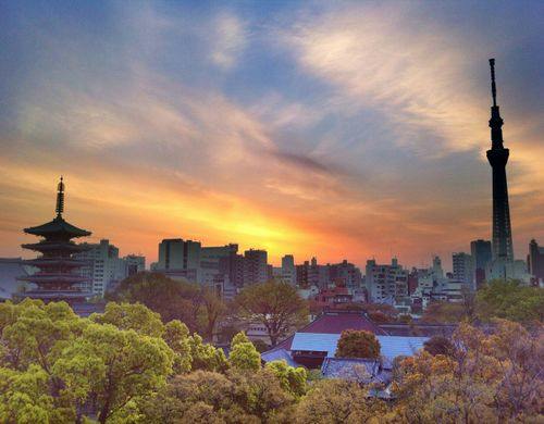 【一部客室からの眺め(夕日)】