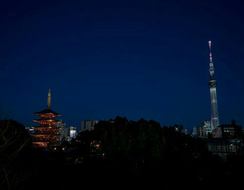 【一部客室からの眺め(夜間】