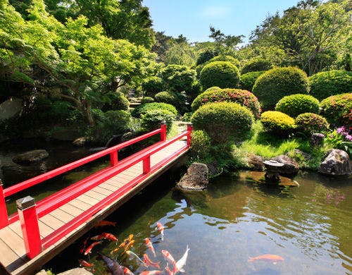 四季折々の花木が楽しめる約四千坪の庭園