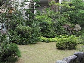 出雲大社　御師の宿　ますや旅館