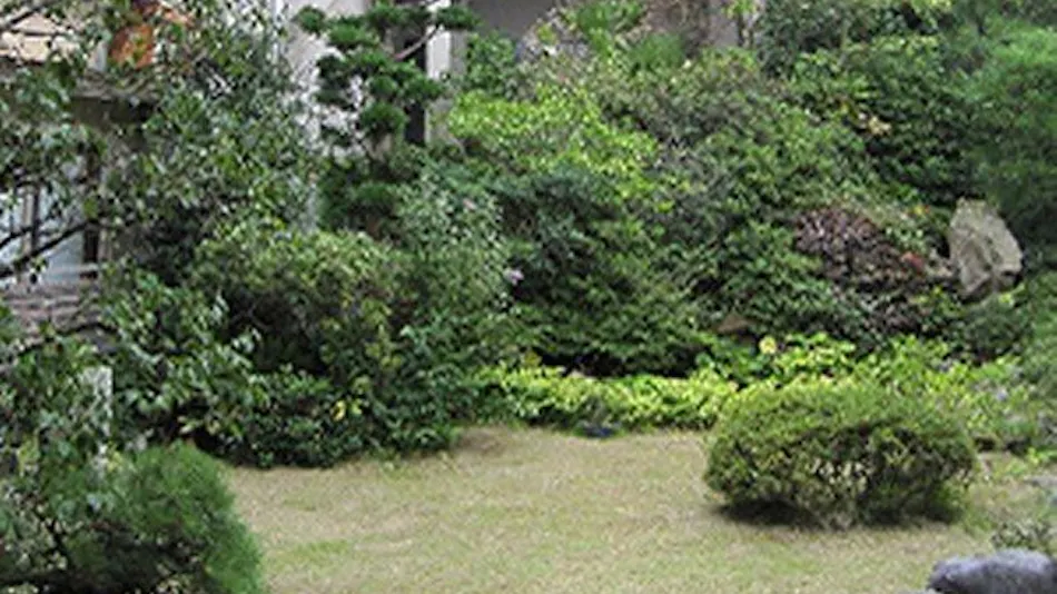 Izumo Taisha Onshi no Yado Masuya Ryokan