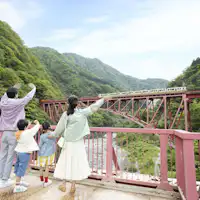 รถไฟทร็อคโกะหุบเขาคุโรเบะ