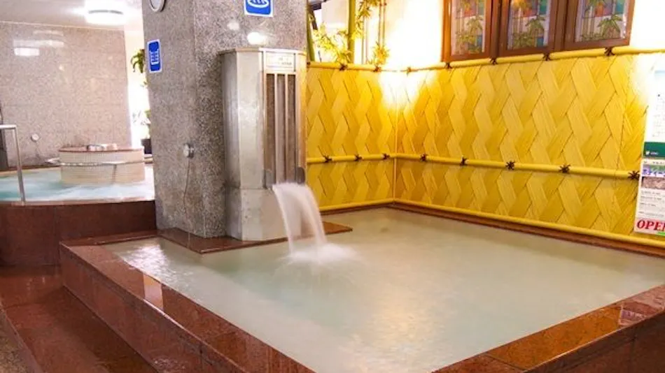 Sauna & Capsule New Wing