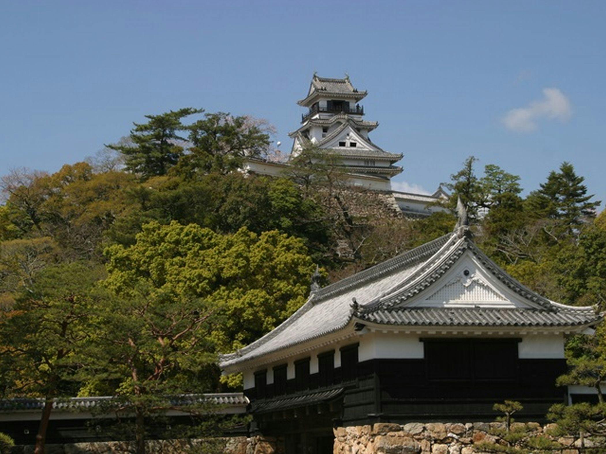 ปราสาทโคจิ