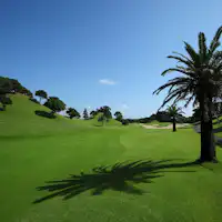 【골프 플랜】오하라・온주쿠 골프 플랜