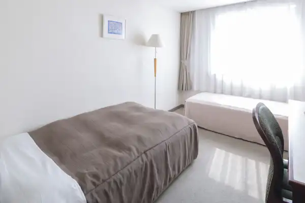 Deluxe Single Room Example