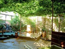 ウェルネスの森 伊東