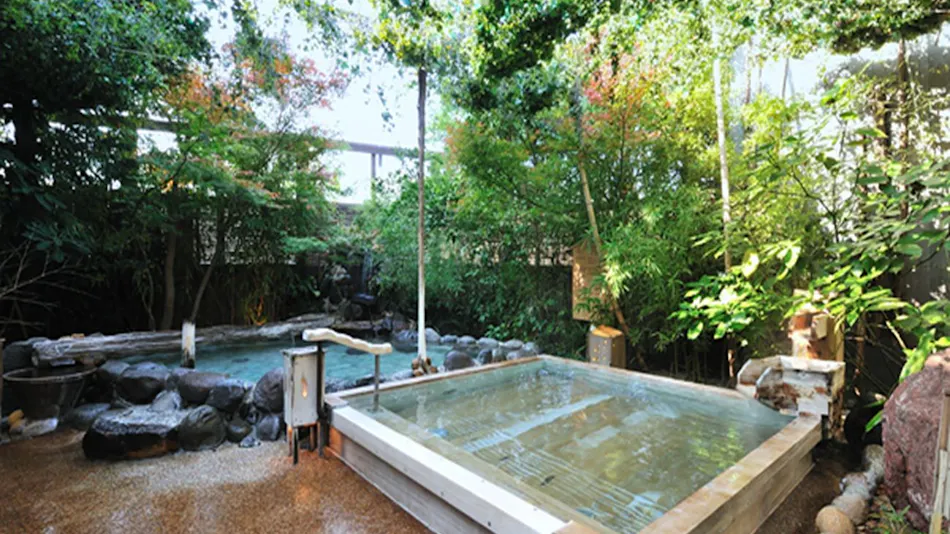 Wellness Forest Ito