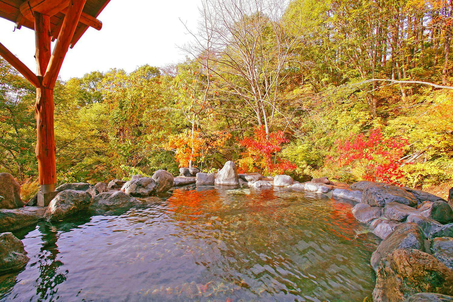 Okutone Onsen Hotel Sunbird