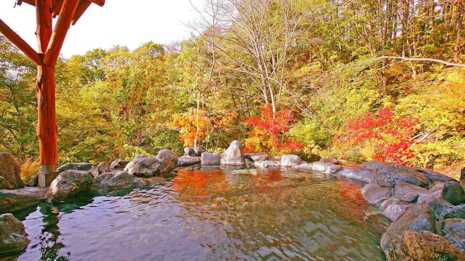 Okutone Onsen Hotel Sunbird
