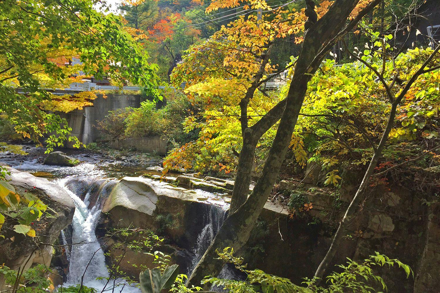 ที่ราบสูงน้ำ