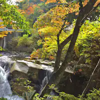 ที่ราบสูงน้ำ