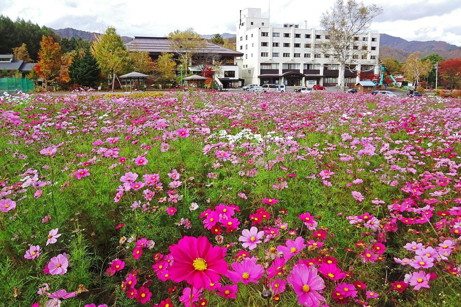 Okutone Onsen Hotel Sunbird