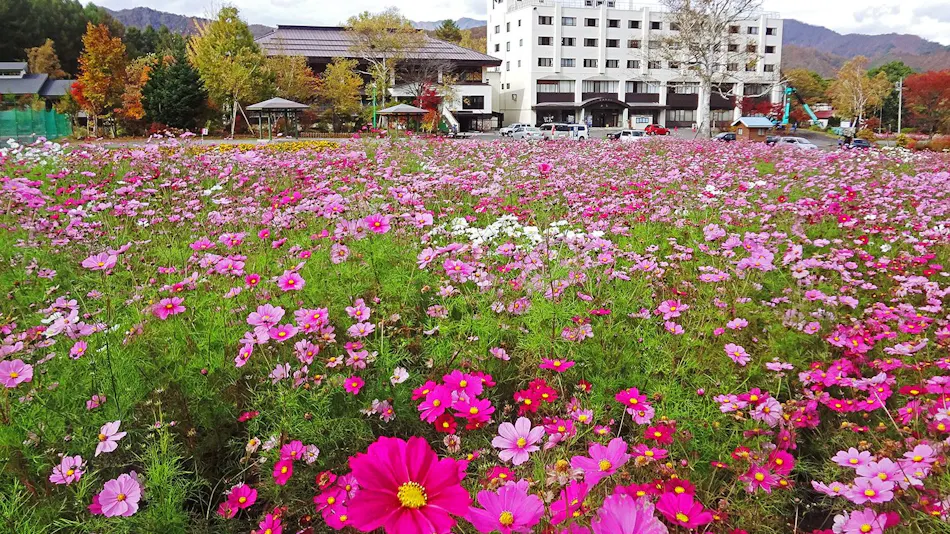 Okutone Onsen Hotel Sunbird