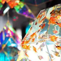 【ソラキン】Dekorasi dengan ikan mas dan cermin