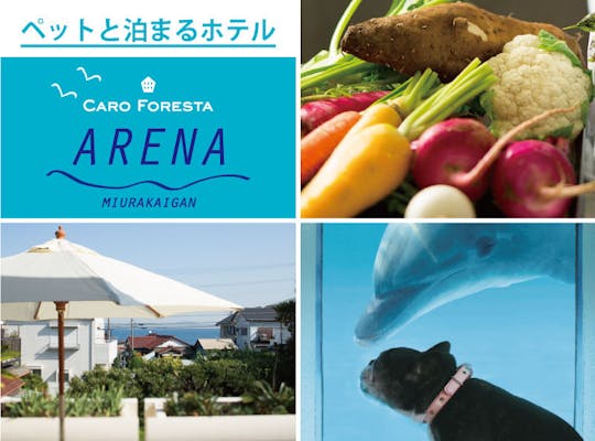 21年 三浦観光で行きたい名所 三浦旅行おすすめ人気スポット30選 一休 Com 21年 三浦観光で行きたい名所 三浦旅行おすすめ人気スポット30選 一休 Com