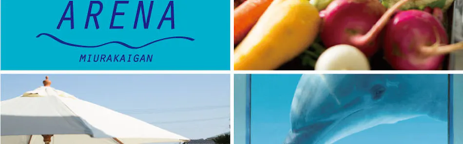 クチコミ 評判 ペットと泊まる宿 Caro Foresta 三浦海岸arena Yahoo トラベル クチコミ 評判 ペットと泊まる宿 Caro Foresta 三浦海岸arena Yahoo トラベル