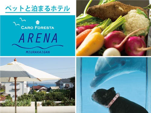 ペットと泊まる宿 Caro Foresta 三浦海岸arena の宿泊プラン 予約 Yahoo トラベル