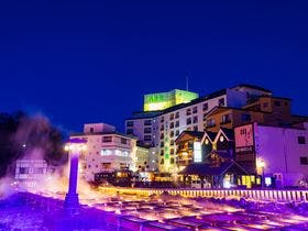 草津温泉 大東舘