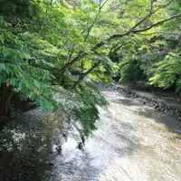 อิเสะจิงกูสีเขียวสด