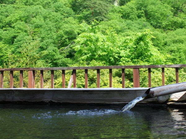 อ่างอาบน้ำกลางแจ้งพร้อมวิวสีเขียวสด