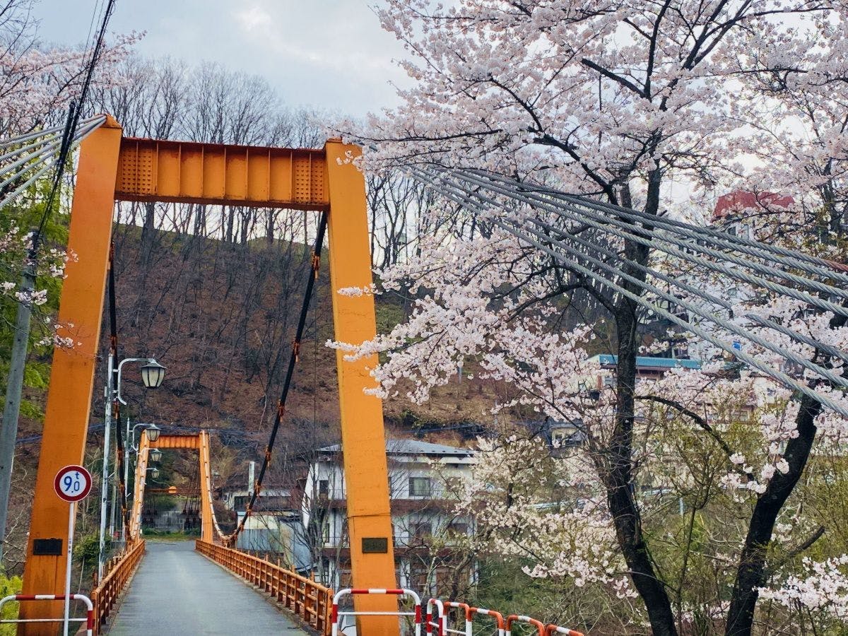 (สะพานไนราคุ) ทิวทัศน์ฤดูใบไม้ผลิ
