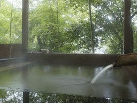 城崎温泉　富士見屋　珍竹林