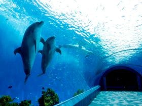 横浜マンダリンホテル