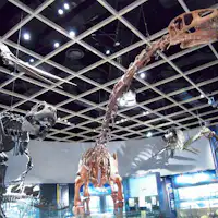 สวนโนฮอยในเมืองโทโยฮาชิ