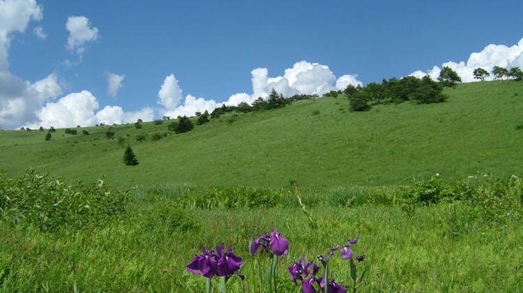 車山ハイランドホテル の宿泊プラン 予約 Yahoo トラベル 車山ハイランドホテル の宿泊プラン 予約 Yahoo トラベル
