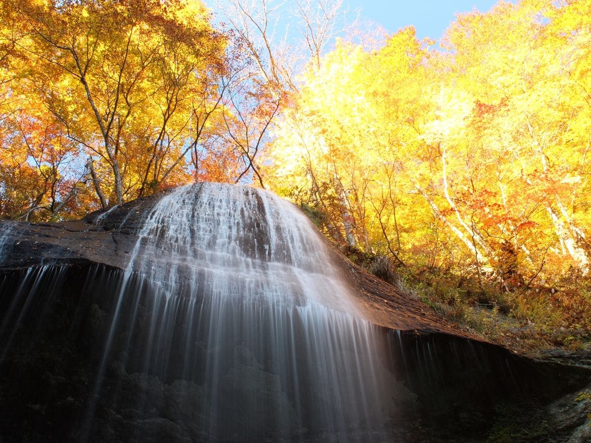 ภาพฤดูใบไม้ร่วง