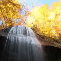 ภาพฤดูใบไม้ร่วง