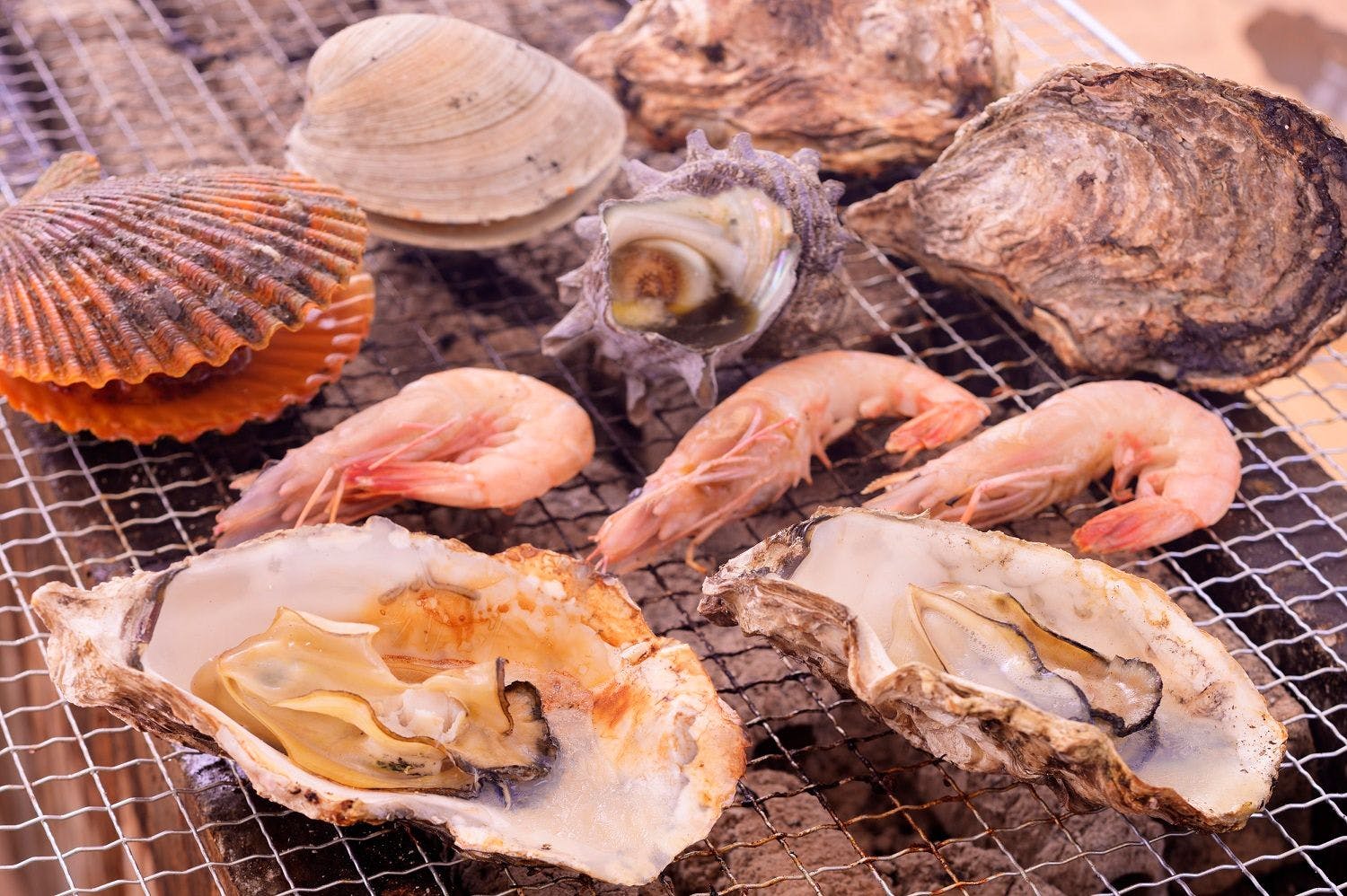 Aoshima Fisherman's Beachside Hostel & Spa
