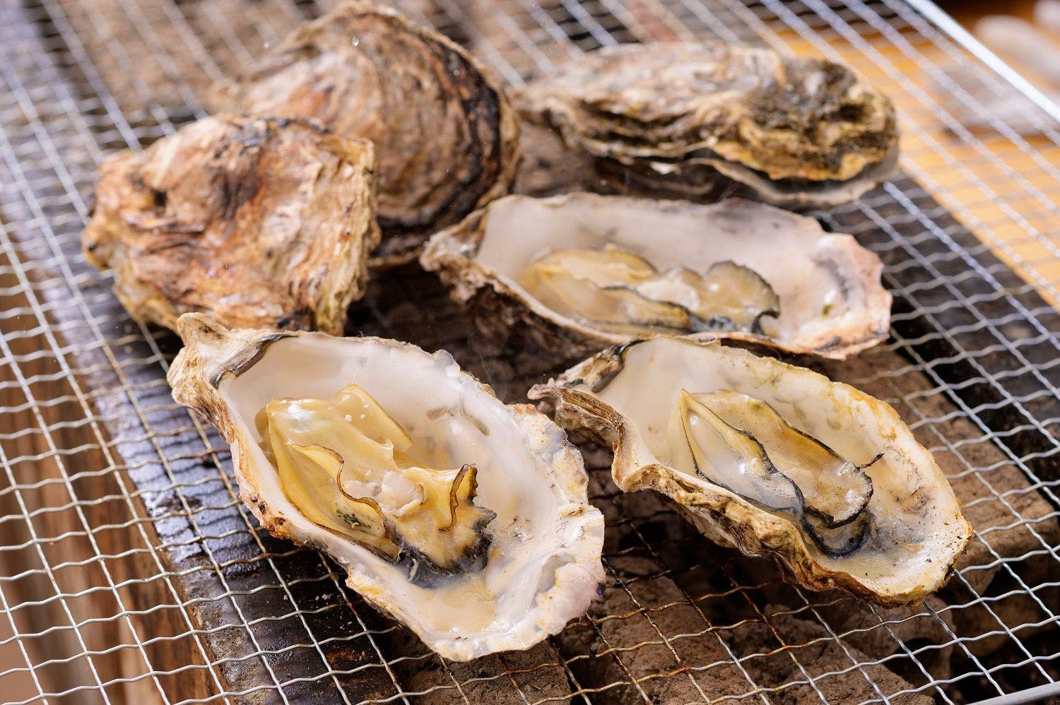 Aoshima Fisherman's Beachside Hostel & Spa