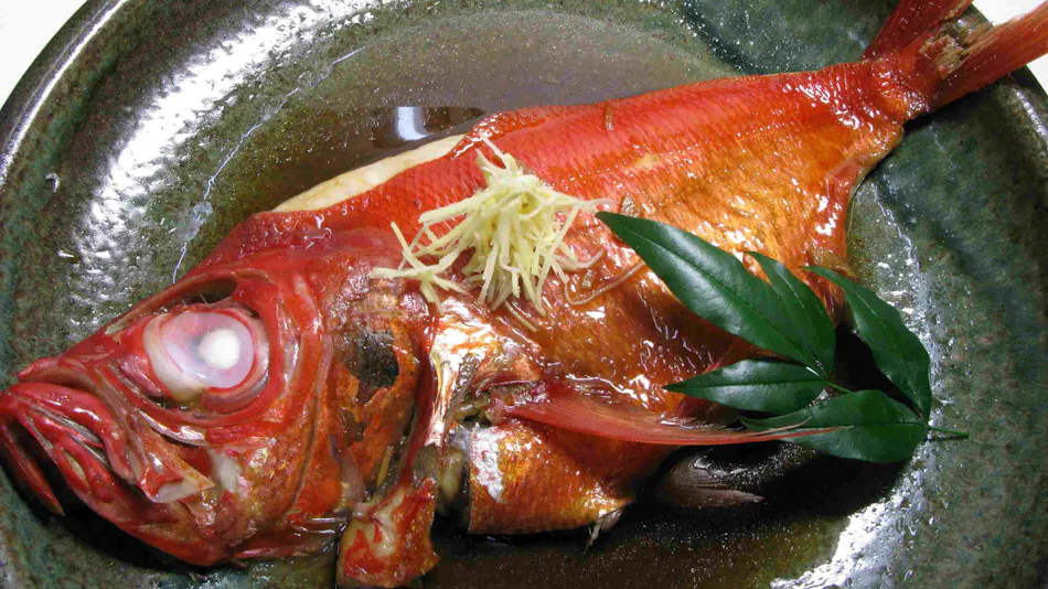 Jindaino yu